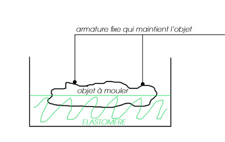 illustration moule.jpg