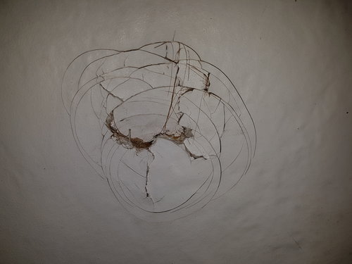 20180730_195036.jpg