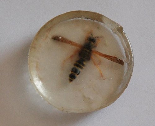 DSC_0099.JPG (74.75 Kio) Vu 21640 fois Ponçage à l'eau et toile emeri