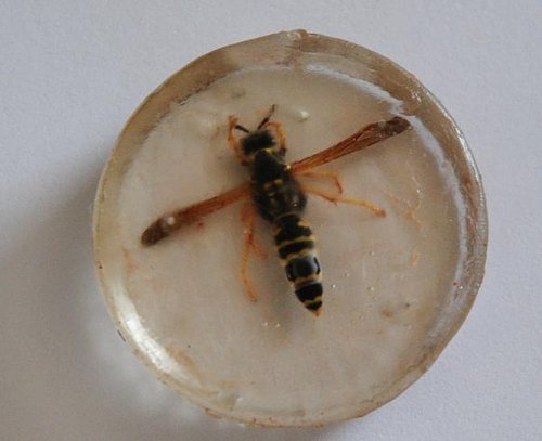 DSC_0101.JPG (67.64 Kio) Vu 21640 fois Après polissage