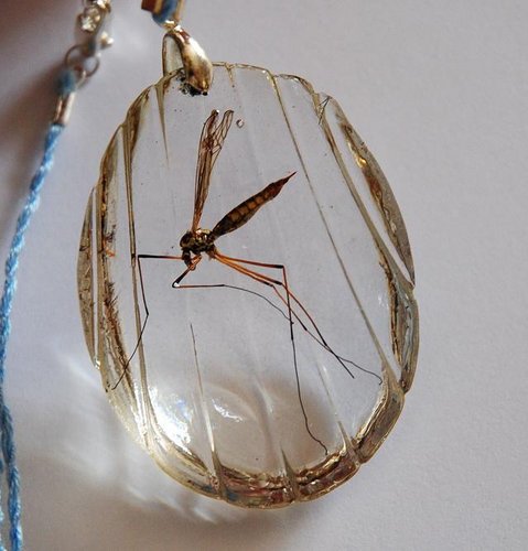 DSC_0102.JPG (89.79 Kio) Vu 21640 fois sujet au sortir du moule