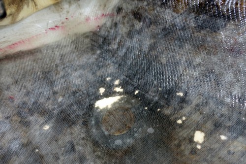 Détail 1