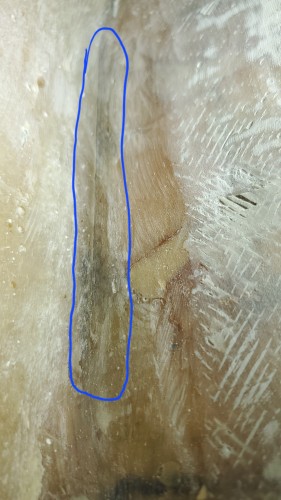 20241110_182437.jpg