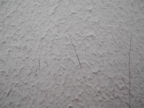 dscn3209m.jpg