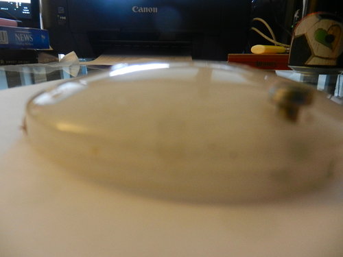 DSCN0756.JPG
